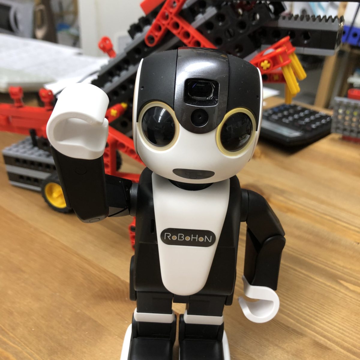 明日デビューです。